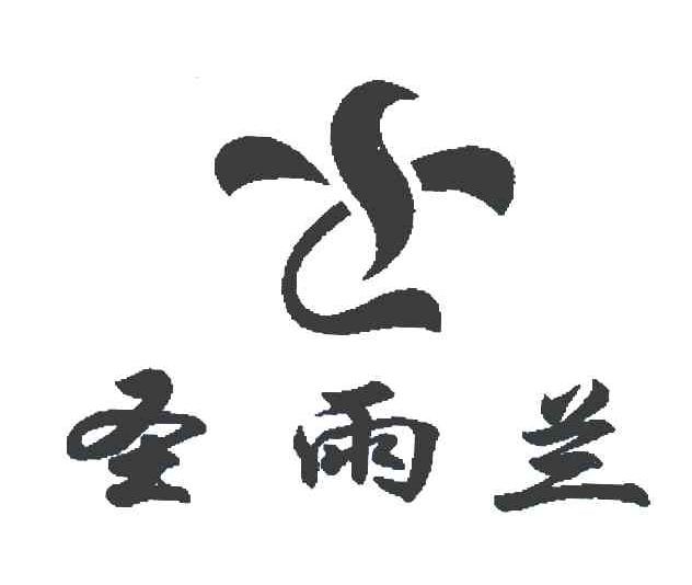 圣雨兰