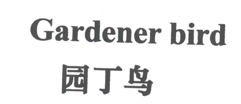 园丁鸟;GARDENER BIRD