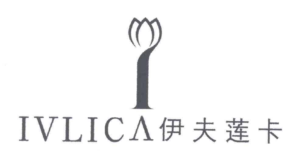 伊夫莲卡;IVLICA