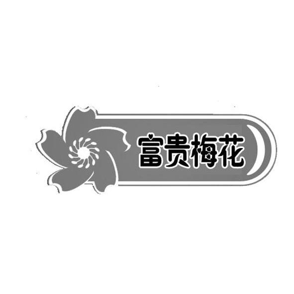 富贵梅花