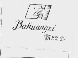 霸煌子  BHZ