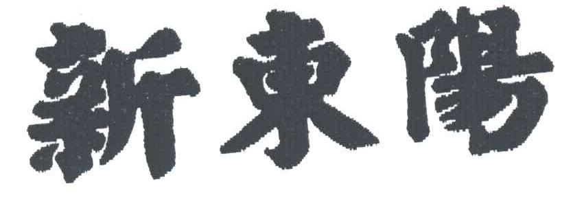 新东阳