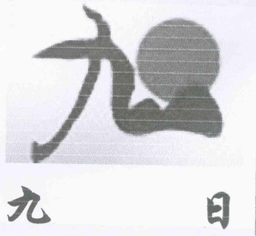 九 九日