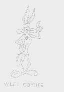 WILE E. COYOTE