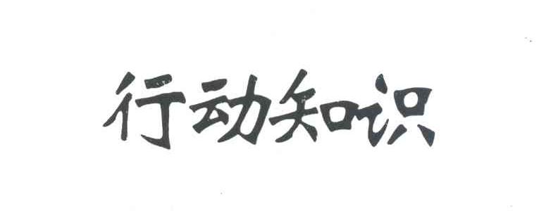 行动知识