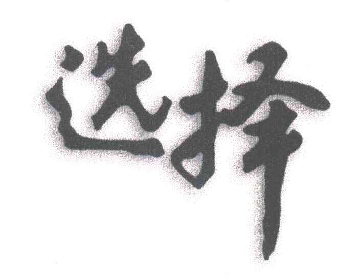 选择