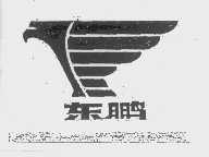 东鹏
