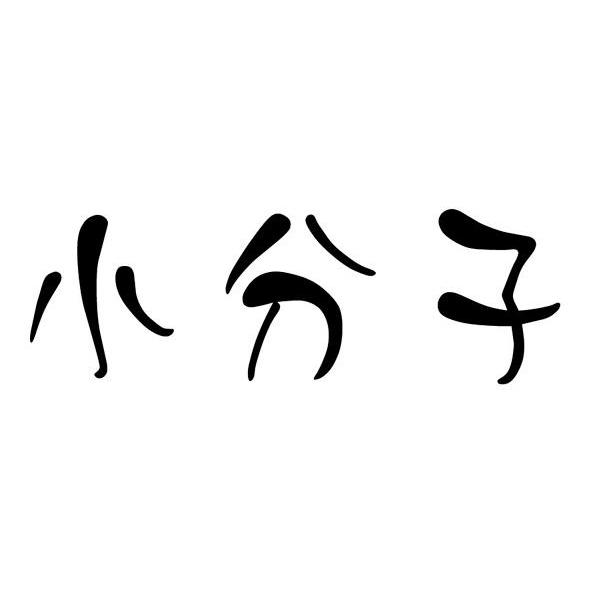 小分子