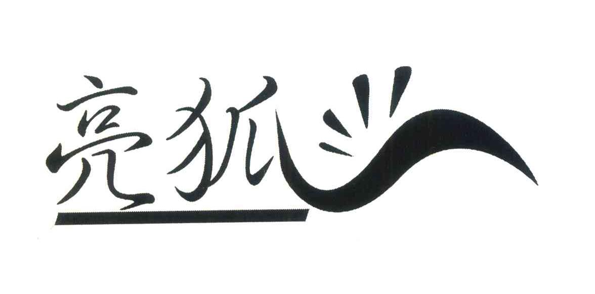 亮狐