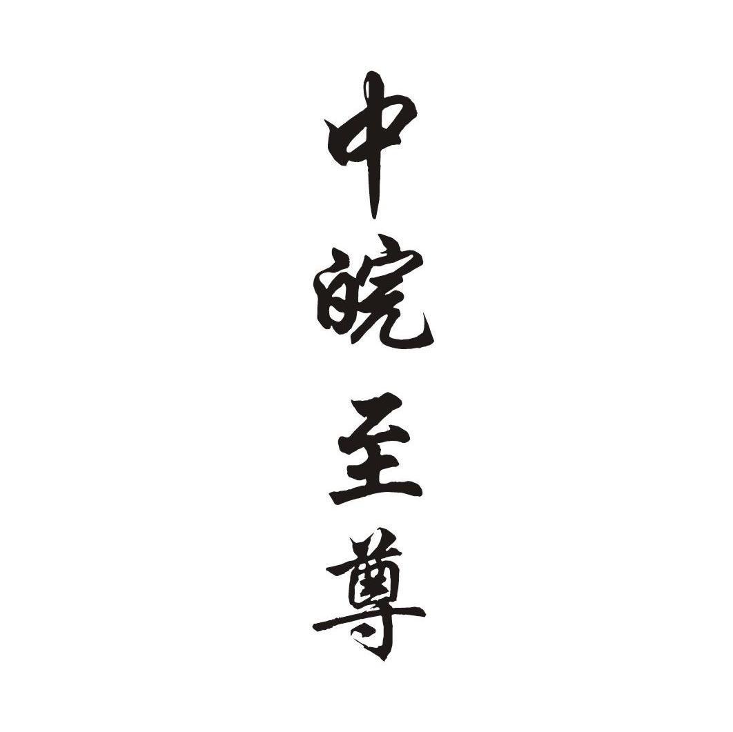 中皖至尊