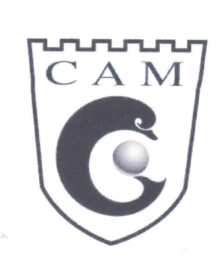 CAM