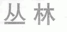丛林