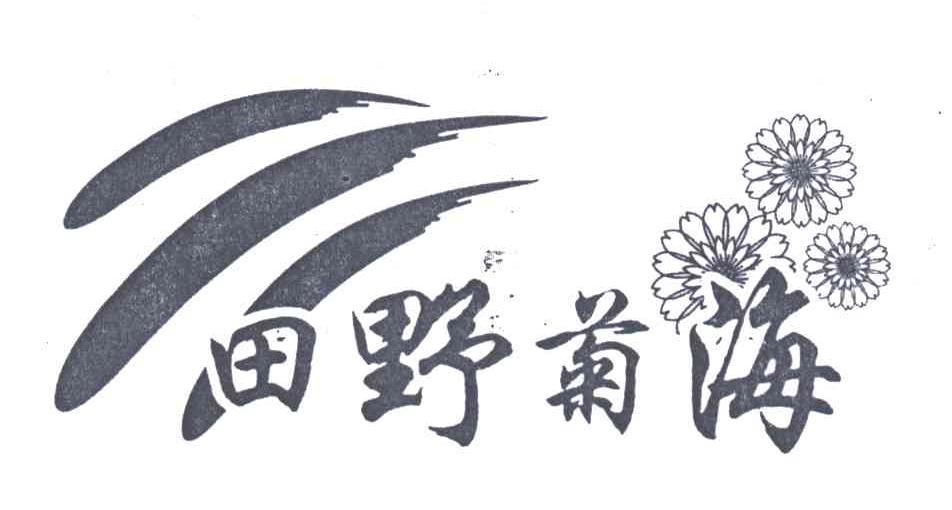 田野菊海