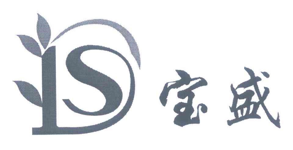 宝盛 DS