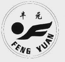 丰元