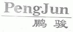 鹏骏