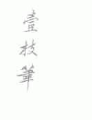 壹枝笔