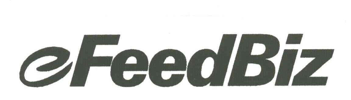EFEEDBIZ