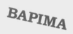 BAPIMA