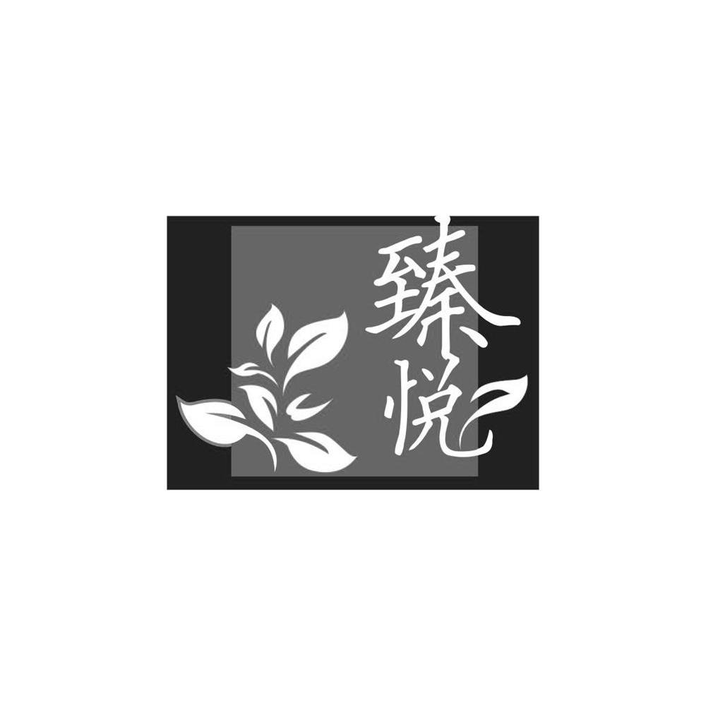 臻悦