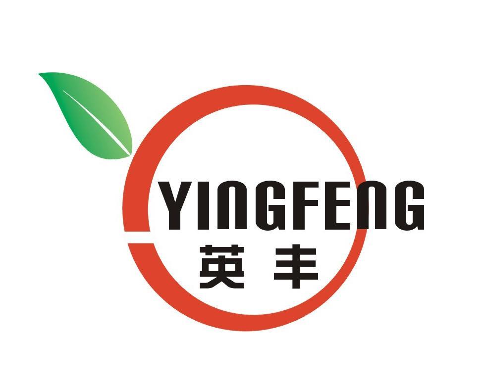 英丰