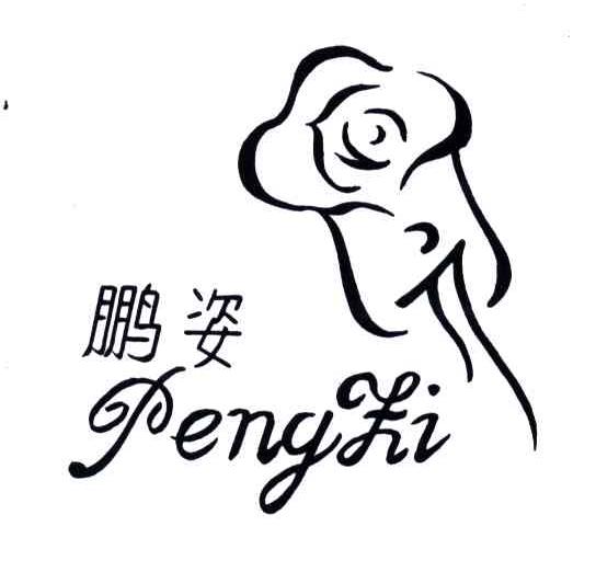 鹏姿