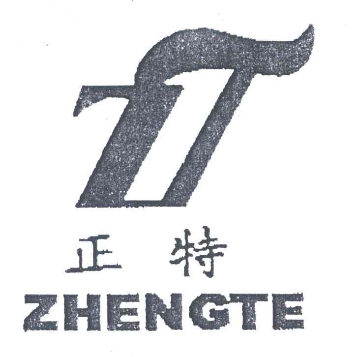 正特