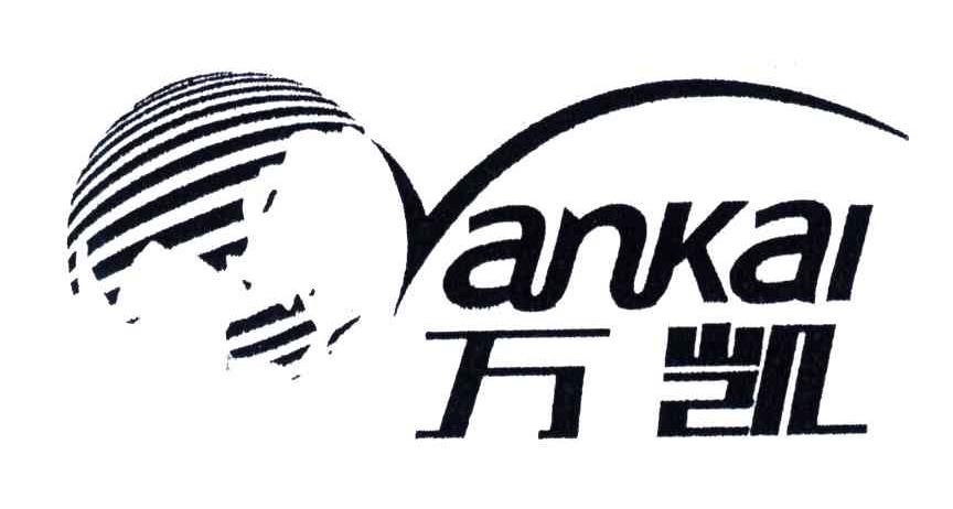 万凯;VANKAI
