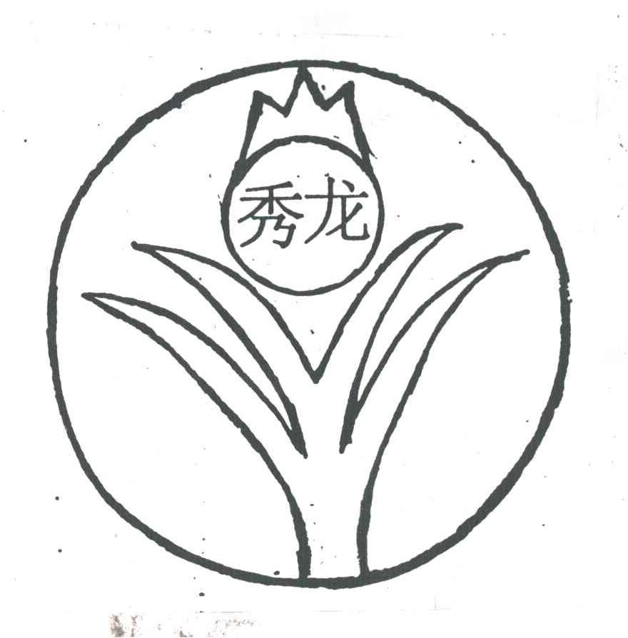 秀龙