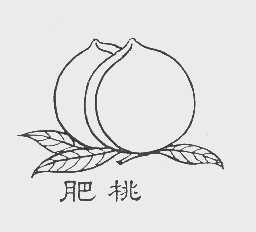 肥桃