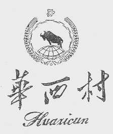 华西村
