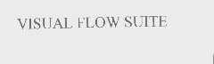VISUAL FLOW SUITE