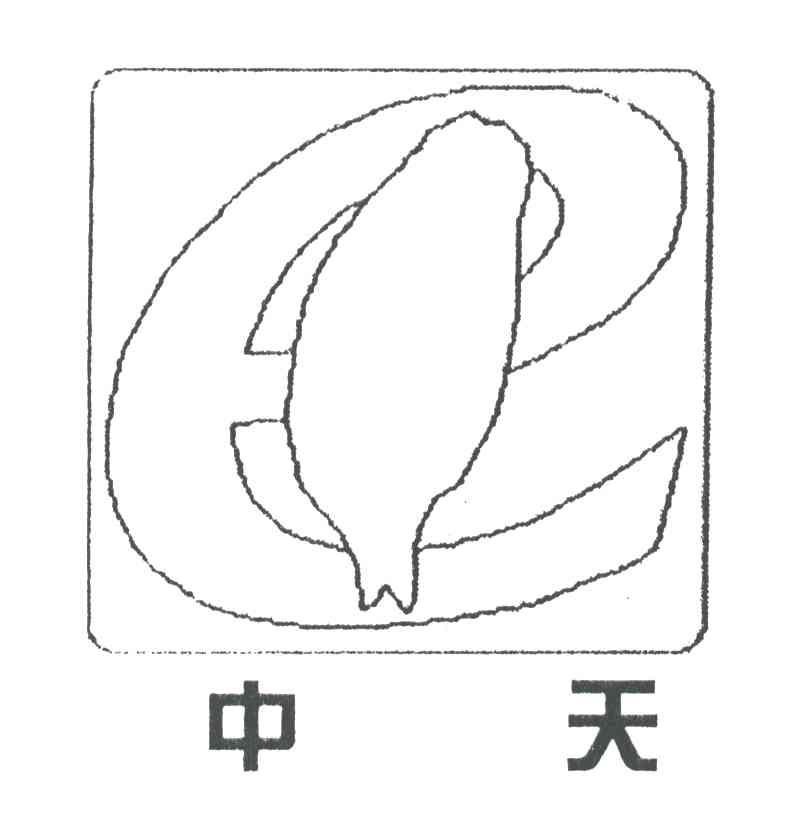 中天;E