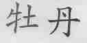 牡丹