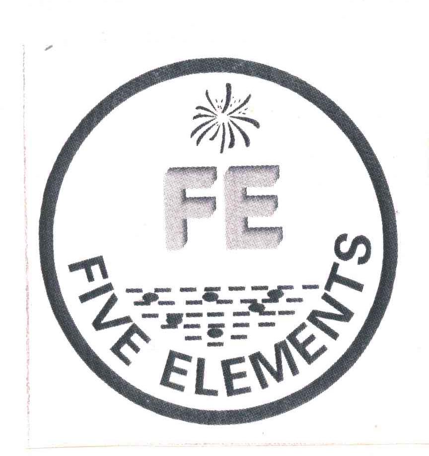 FIVEELEMENTS;FE