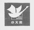 小天鹅    LITTLE SWAN