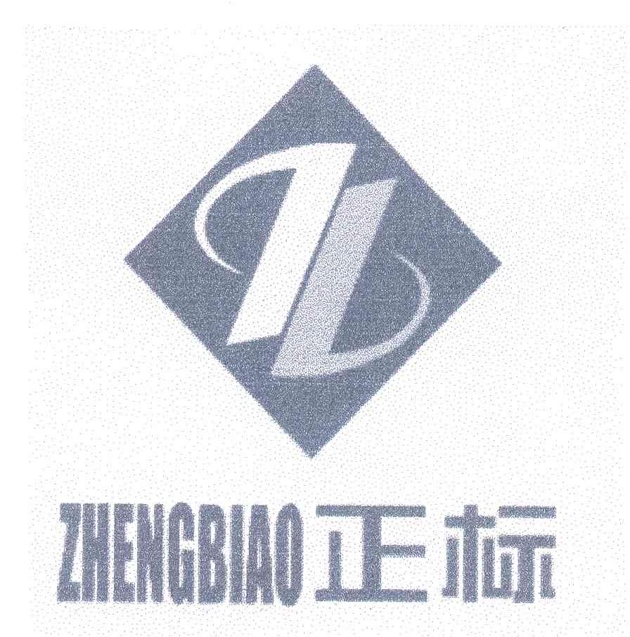 正标
