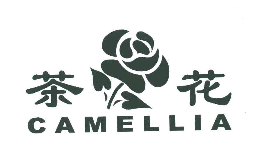 茶花;CAMELLIA