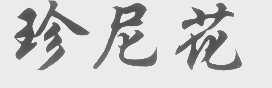珍尼花