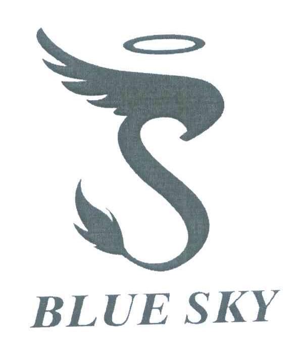 BLUE SKY;S