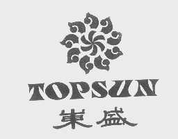 东盛   TOPSUN