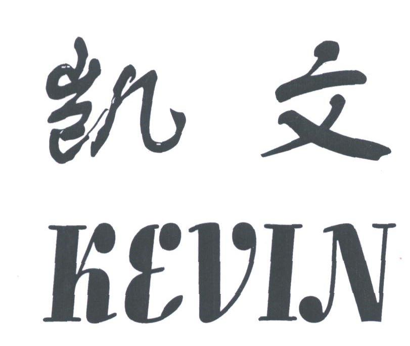 凯文;KEVIN