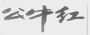 公牛