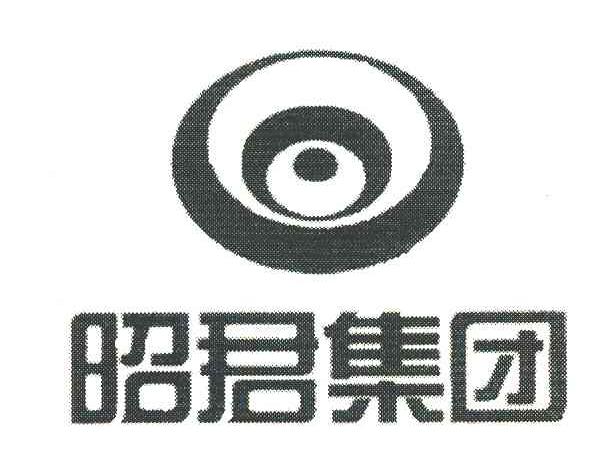 昭君集团