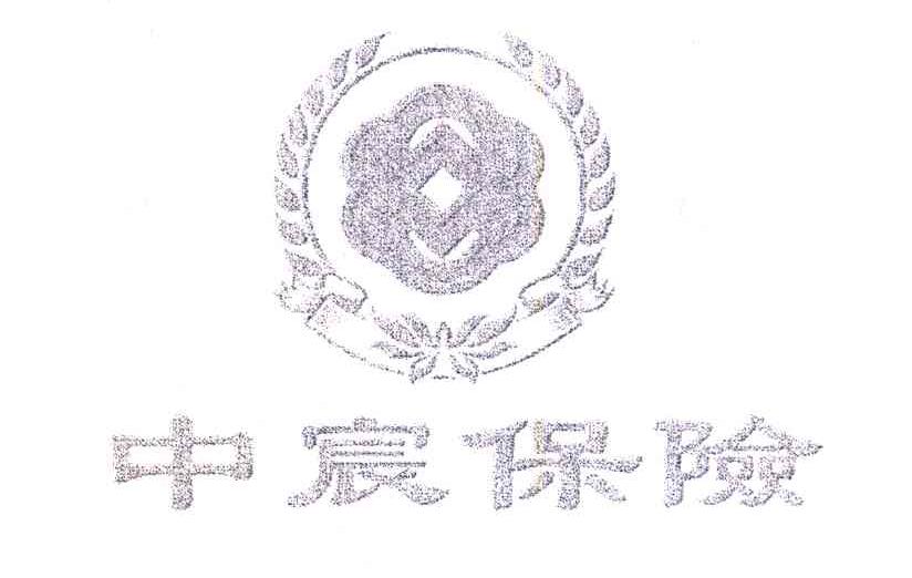 中宸保险