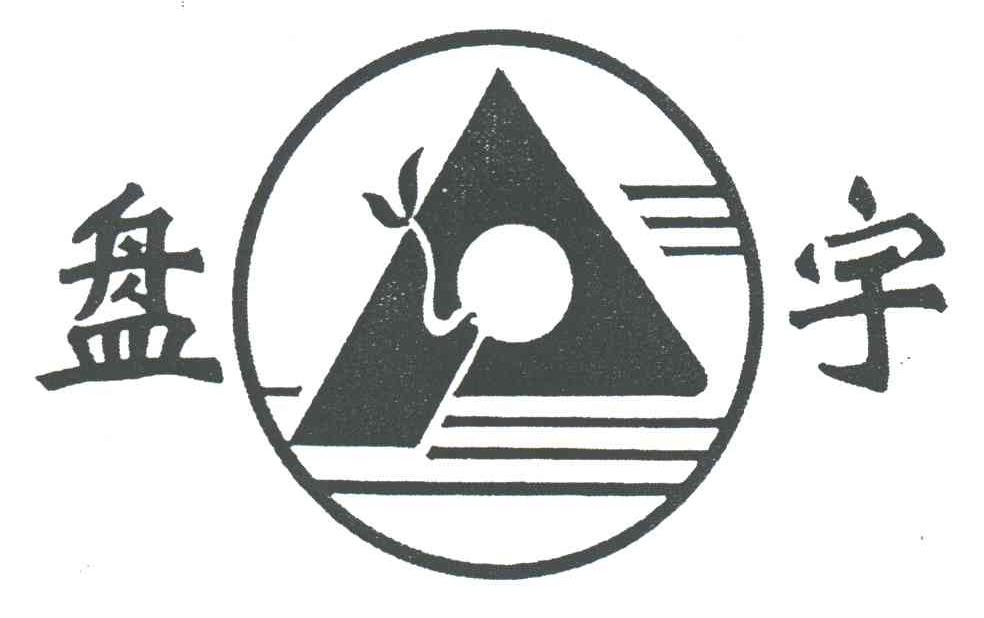 盘宇