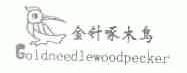 金针啄木鸟;GOLDNEEDLEWOODPECKER