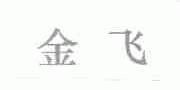金飞