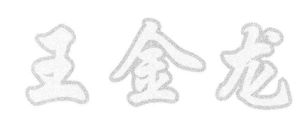 王金龙