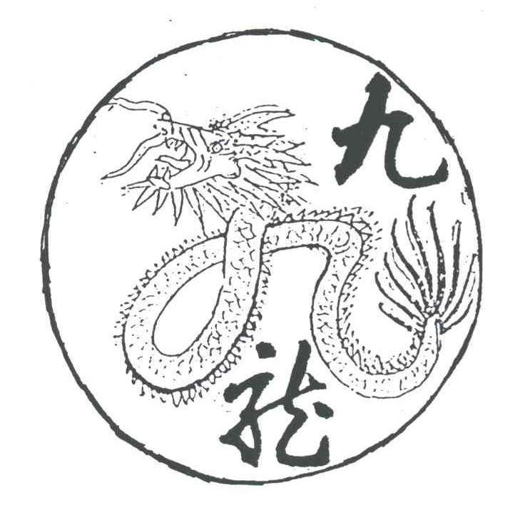 九龙